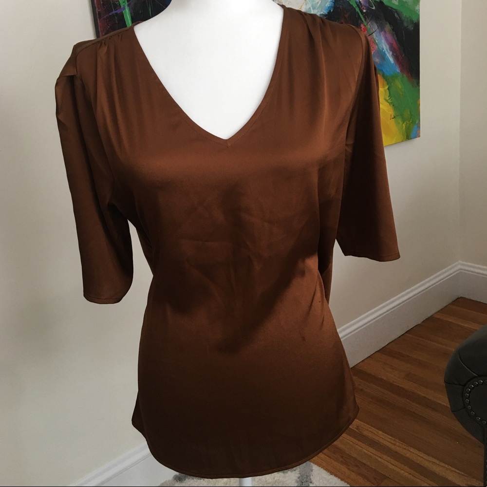 Cognac Brown Ann Taylor Top V Neck Petite M